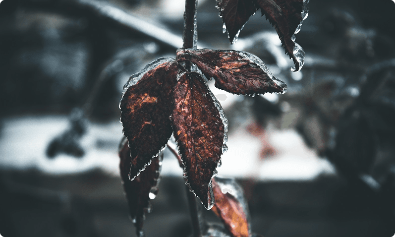 Retrograde Season Survival Guide: What to Do?