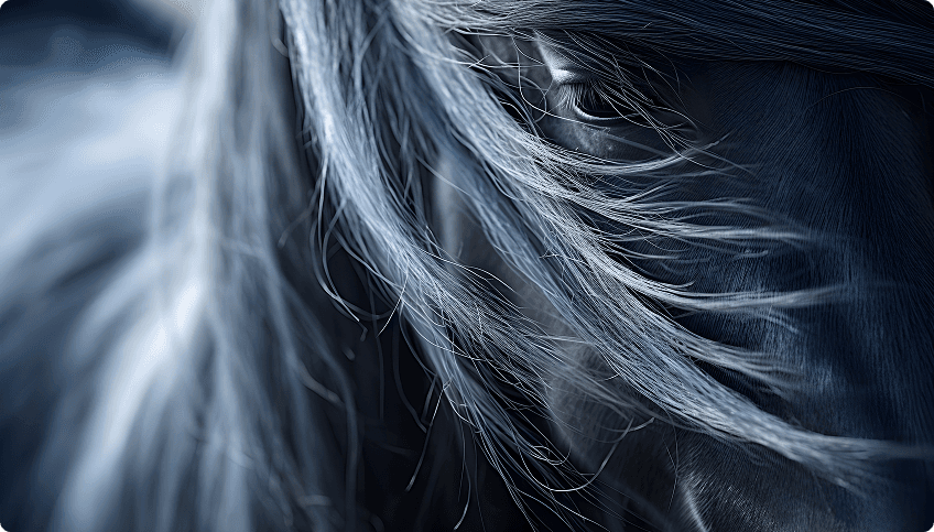 Horse - The Free Spirit